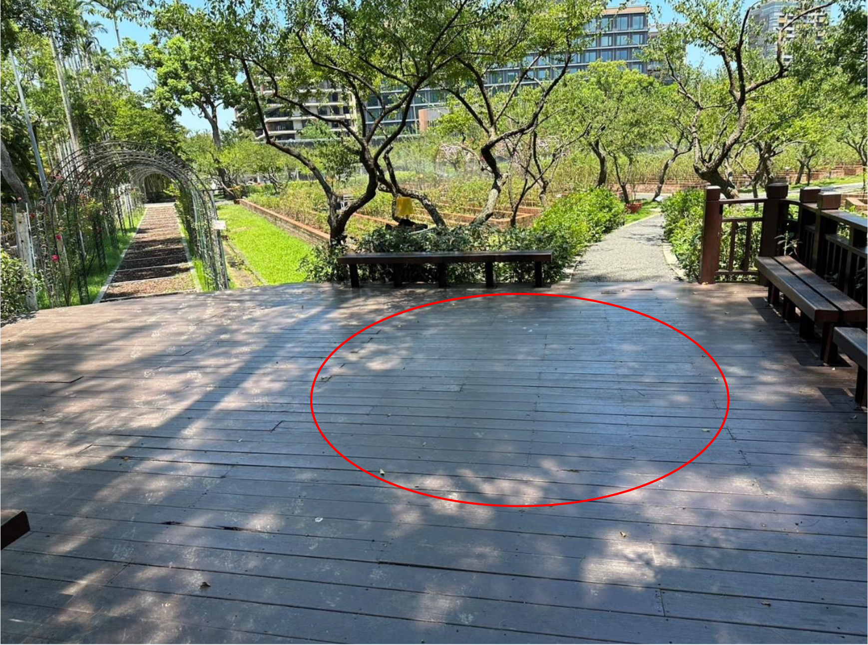 C點（玫瑰隧道前木棧道）