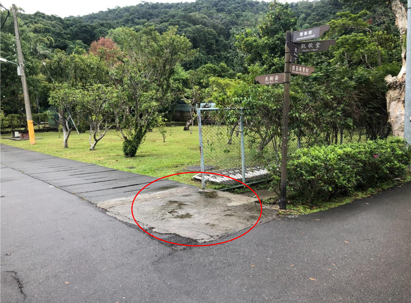 D點(往楓香舞台區路口轉角處鋪面)(除薩克斯風及鼓類表演)